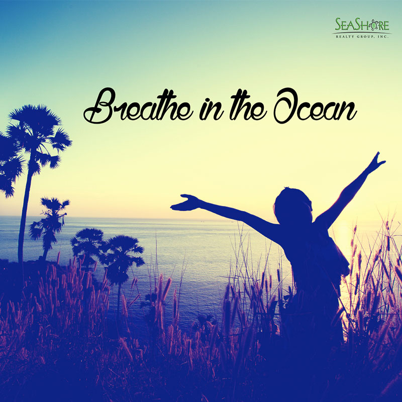 Breathe in the Ocean